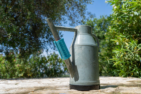 No-Dig, No Problem: How California is Embracing Sustainable Growing